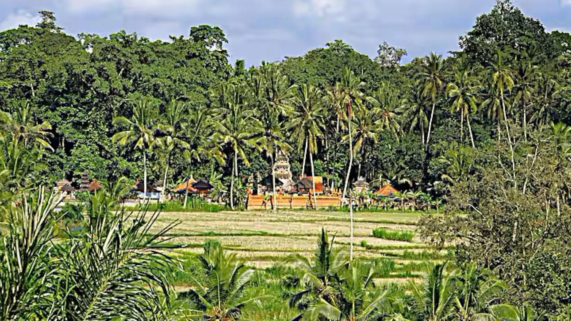 Villa Ria Sayan Ubud  0*, Ubud (Bali) Indonesia